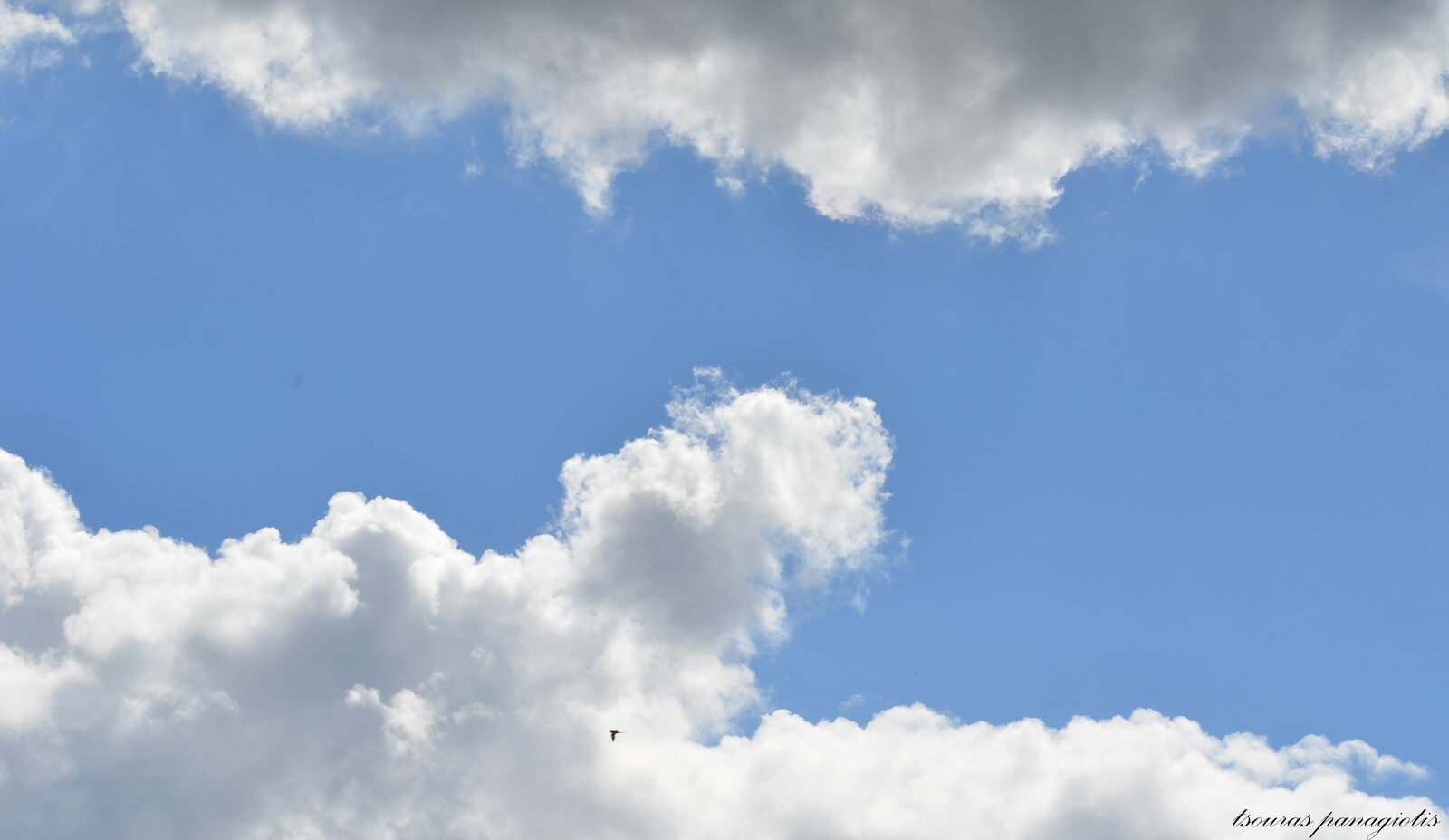 Into the clouds