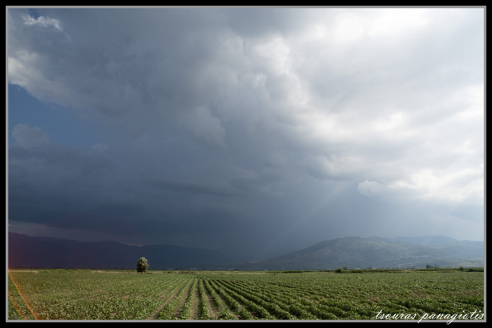 Ag.Spiridon 29/06/2015