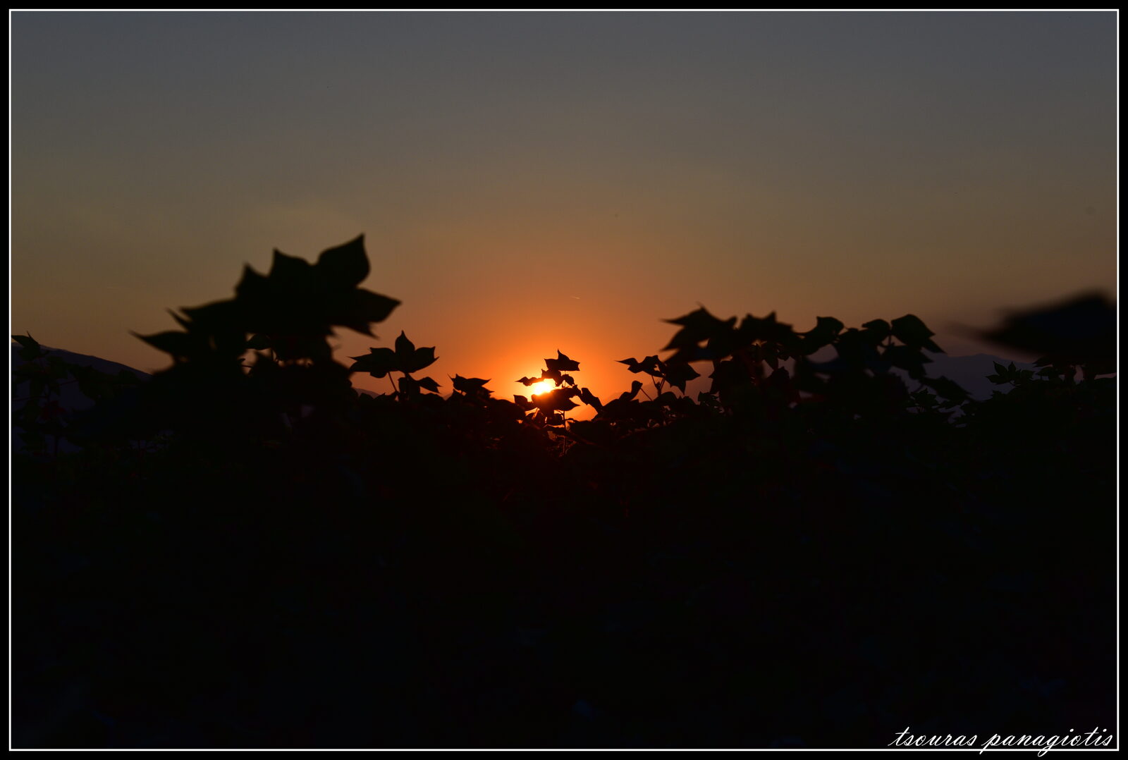 Mavrogia 30/08/2015