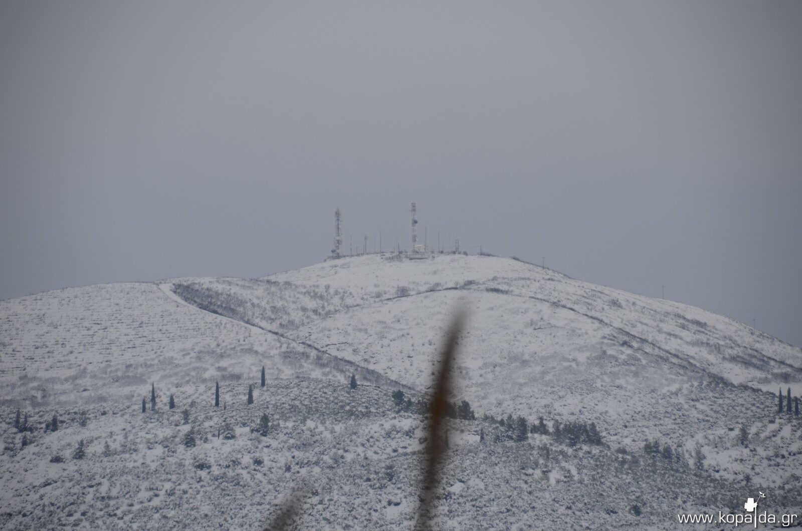 Kopaida 01/01/2015