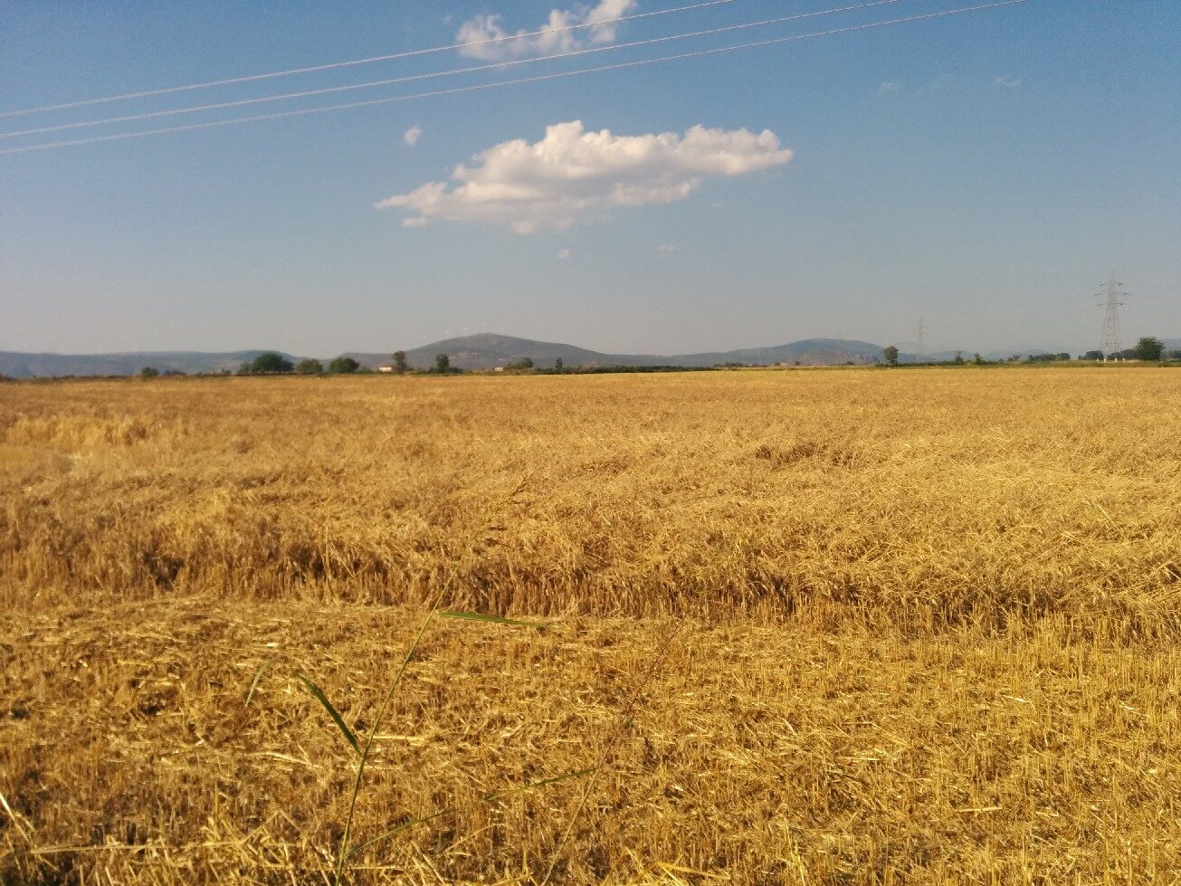 Kopaida 16/06/2014
