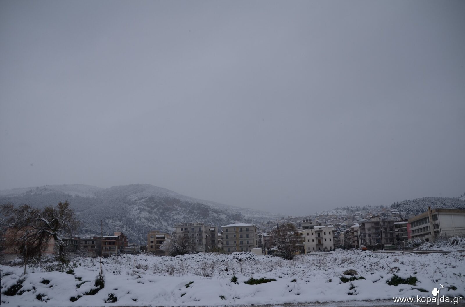 Levadia 30/12/2014