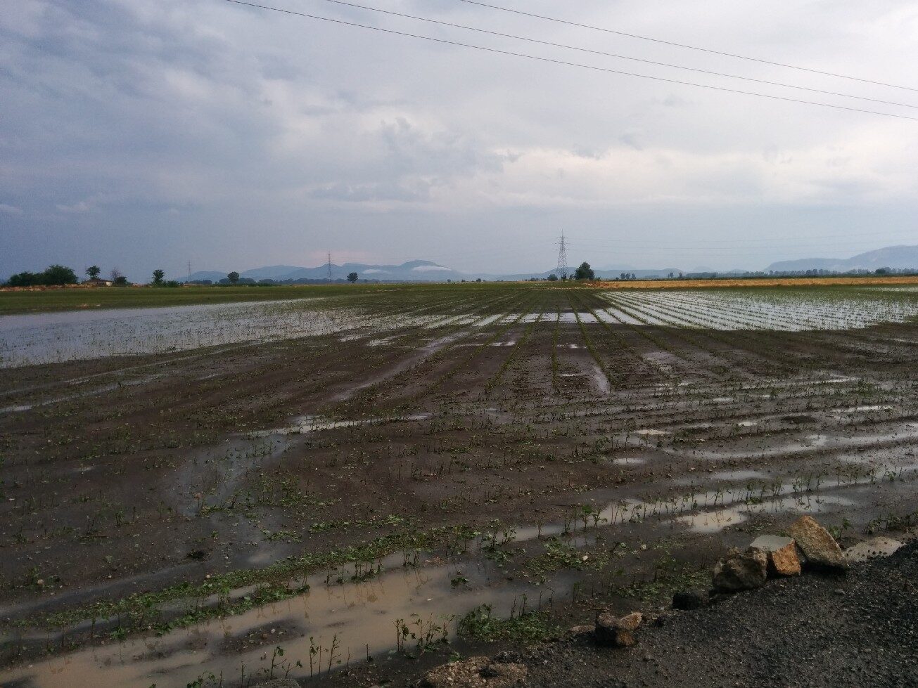 Kopaida 15/06/2014