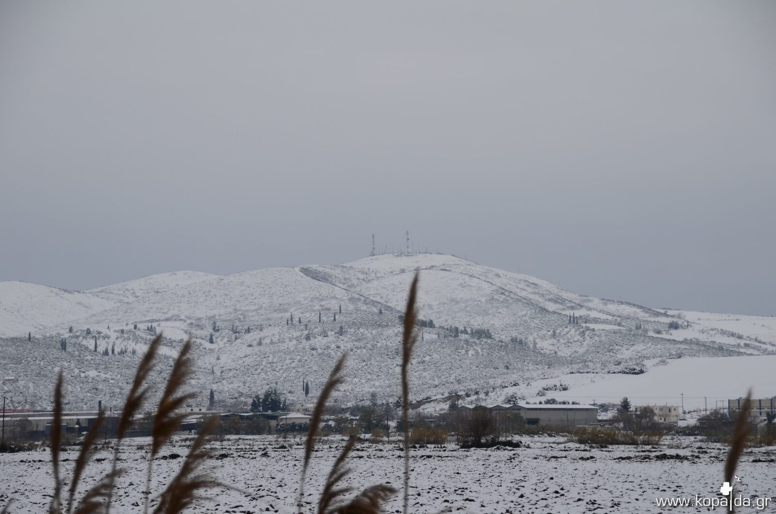 Kopaida 01/01/2015