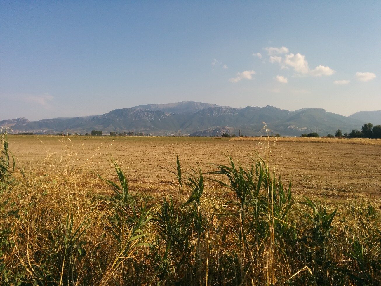 Kopaida 16/06/2014
