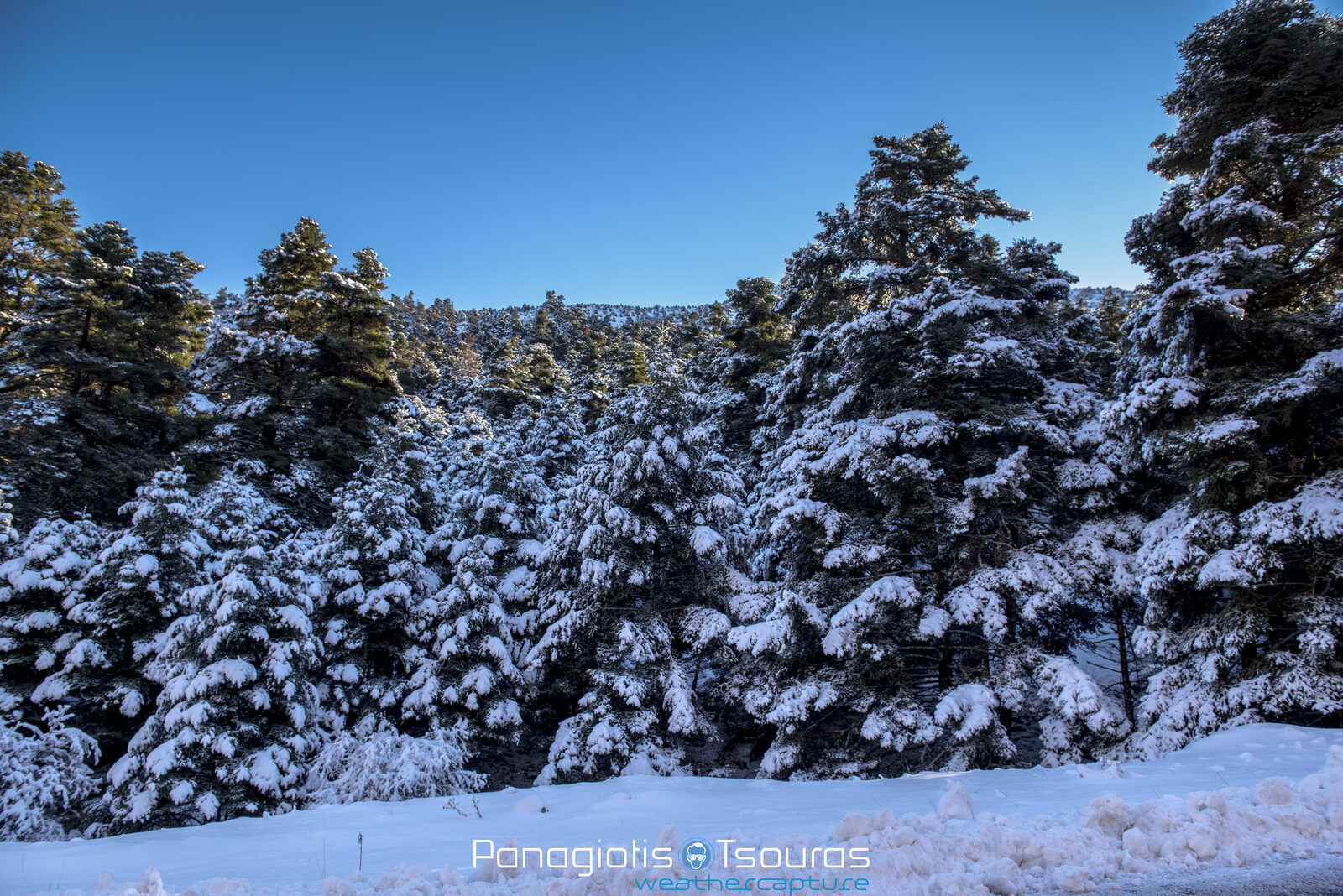 Arvanitsa Elikona 18/12/2016