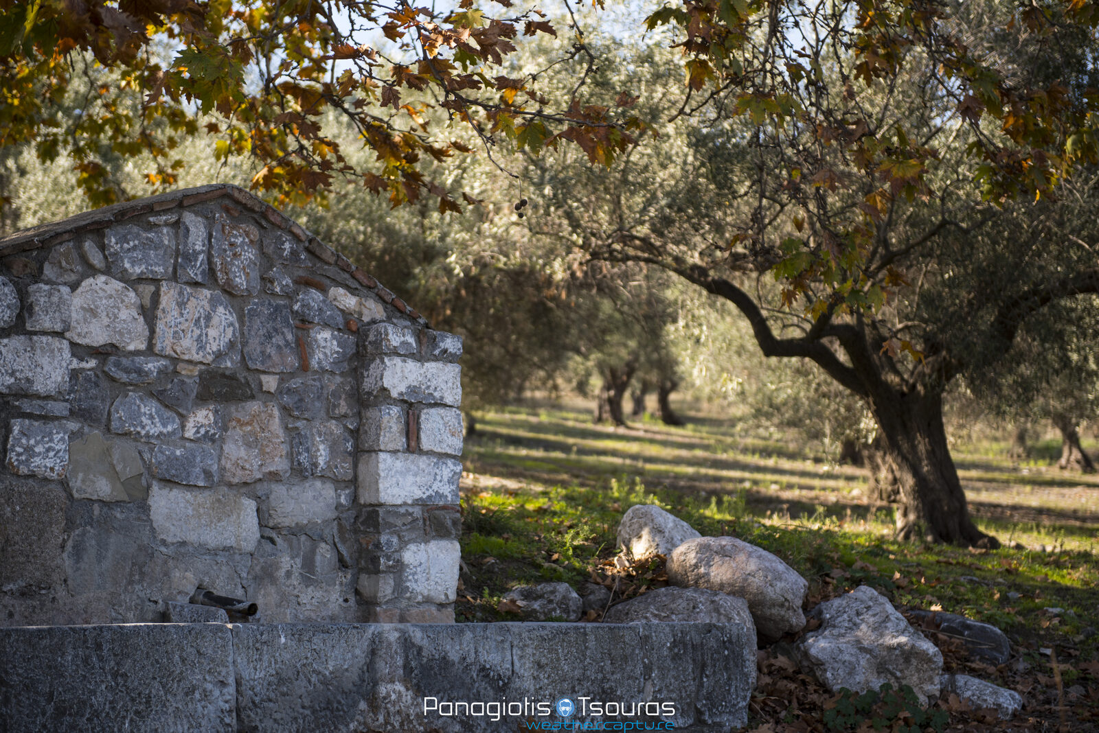 Pyrgos 19/11/2016