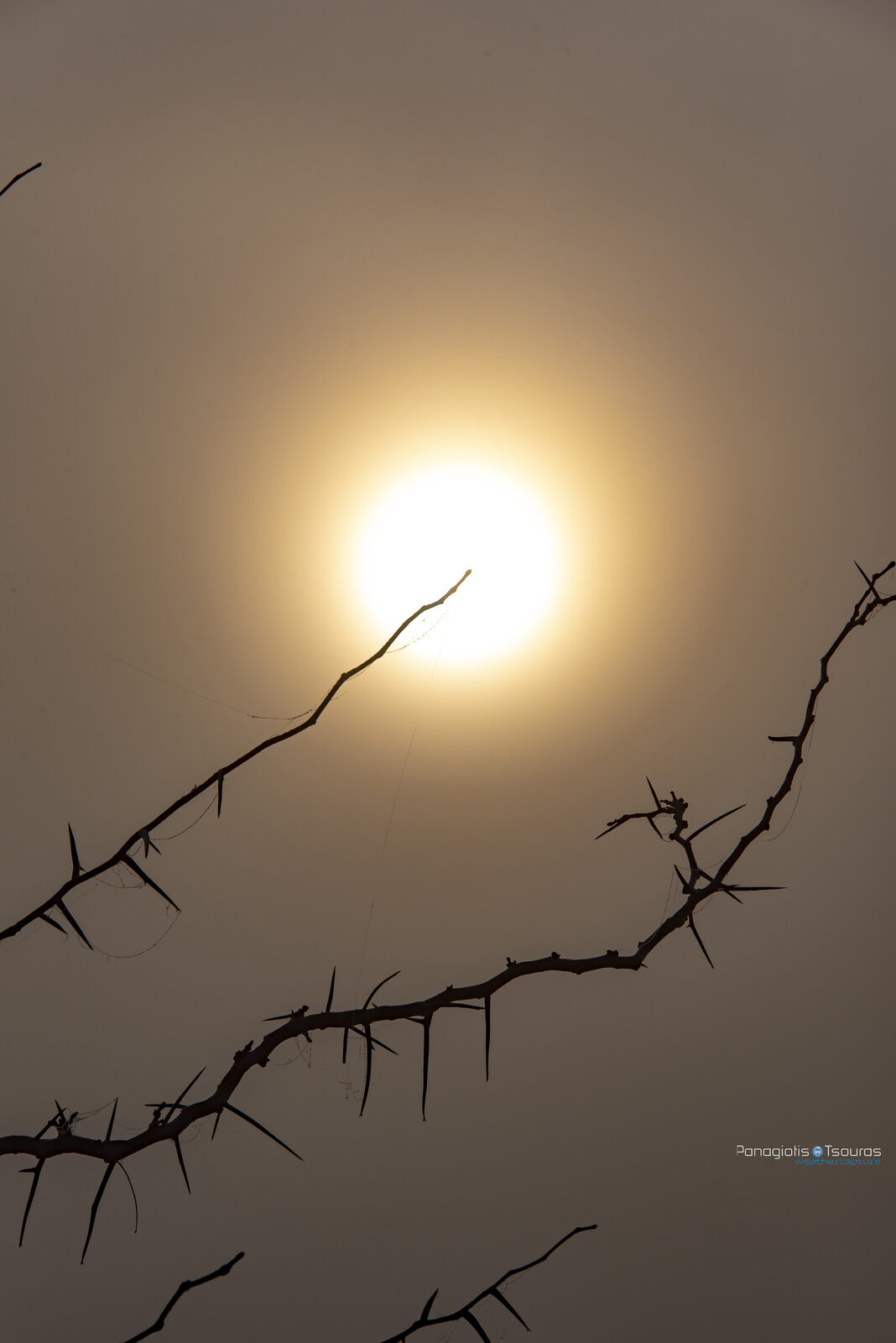 Kopaida 10/02/2019