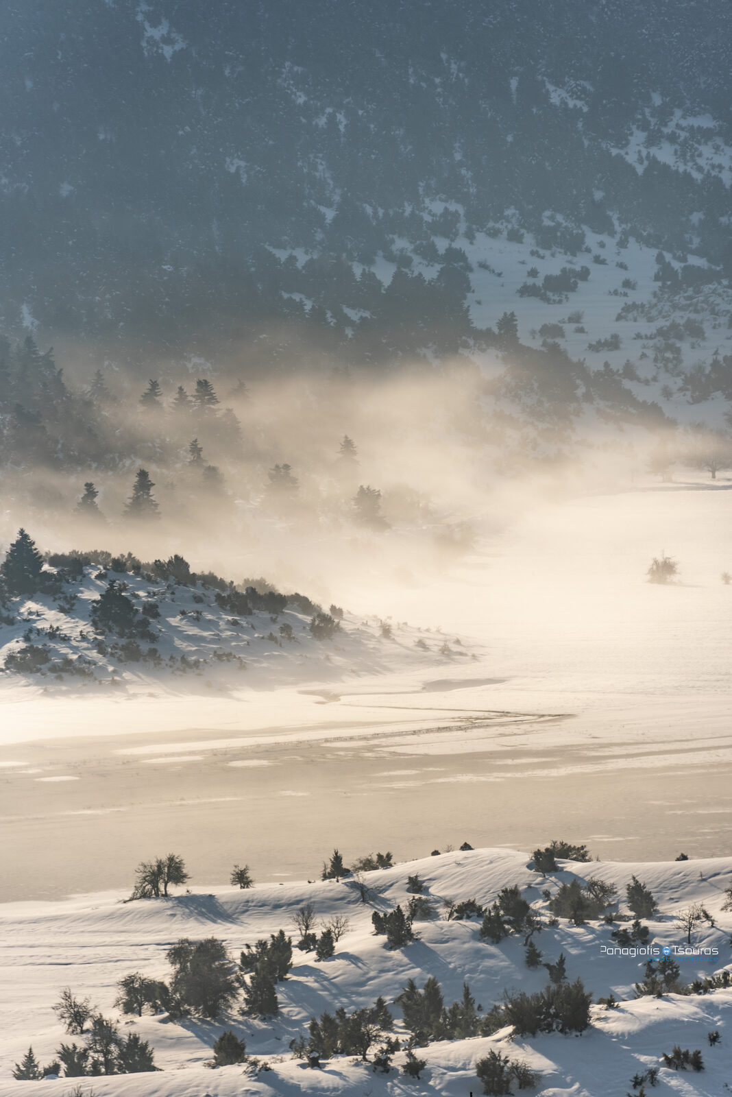 Zeriki 28/02/2019