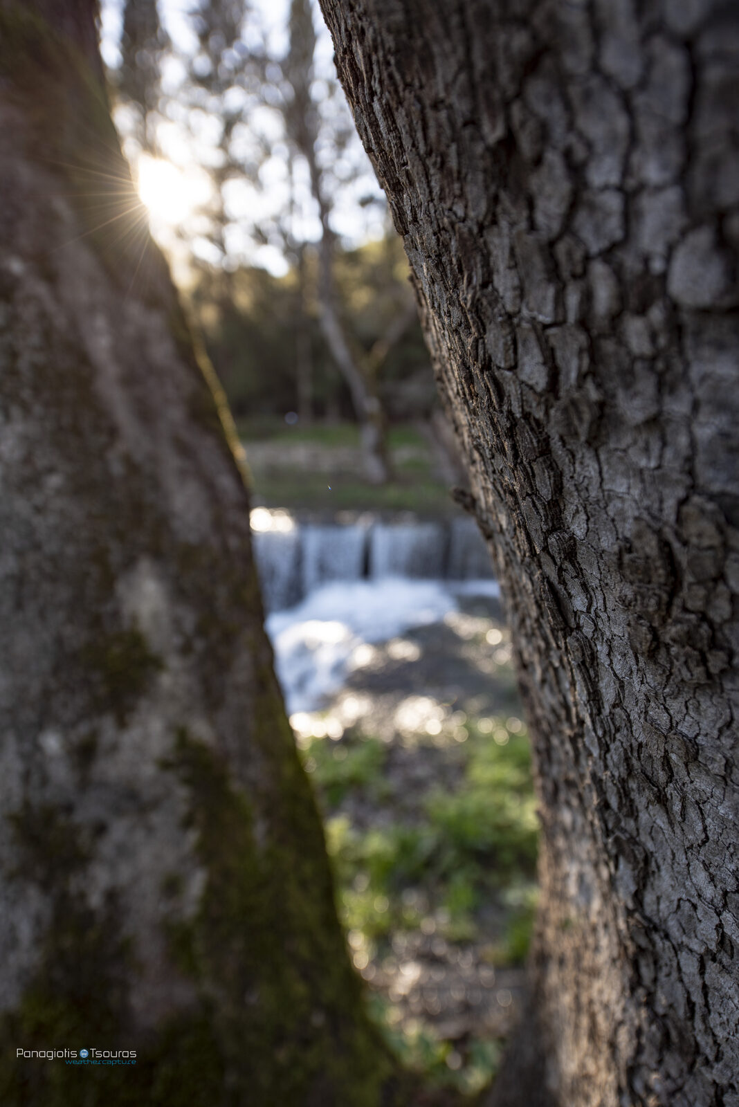 Pontza 17/03/2019