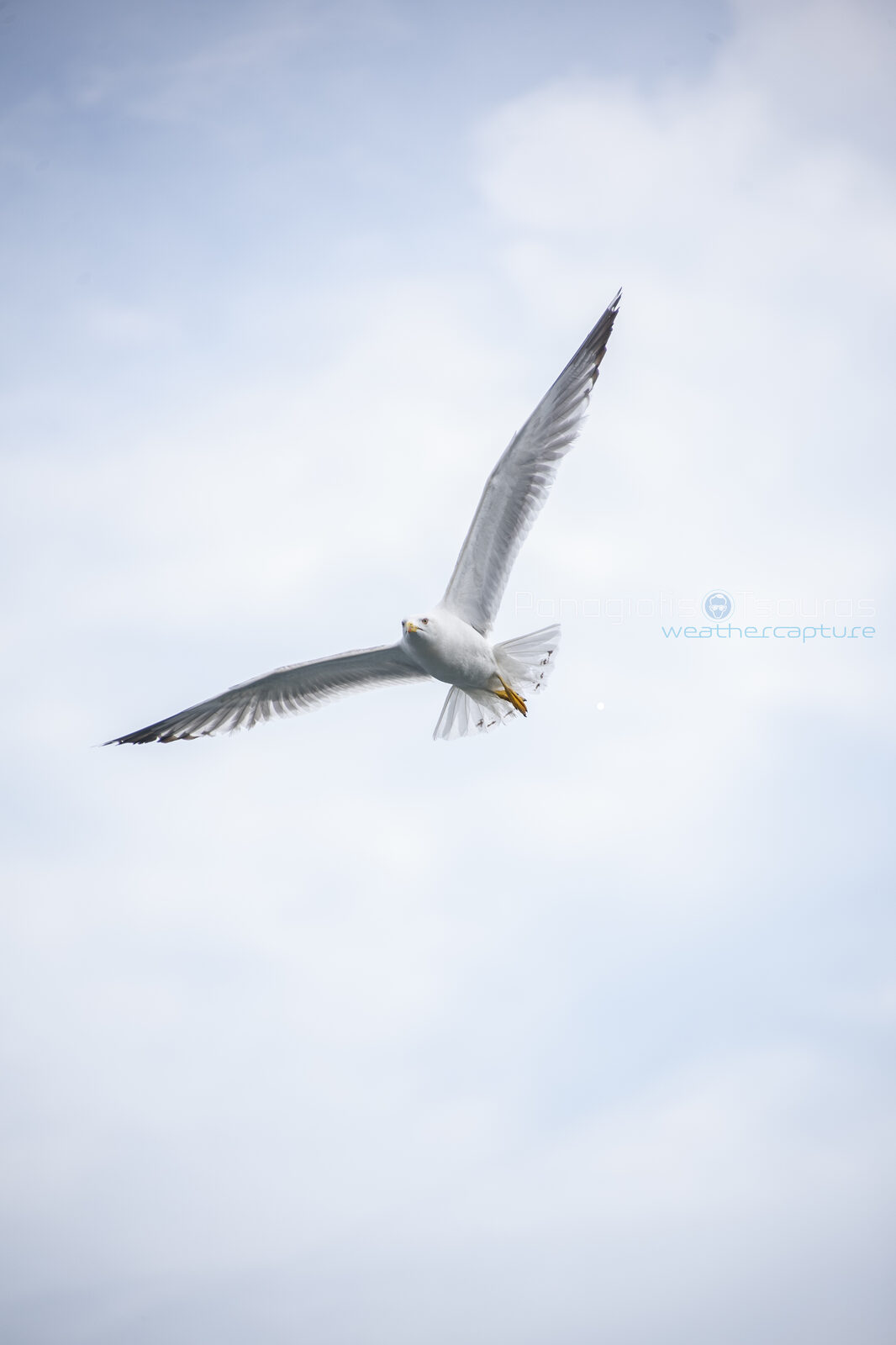Antikyra 13/05/2018