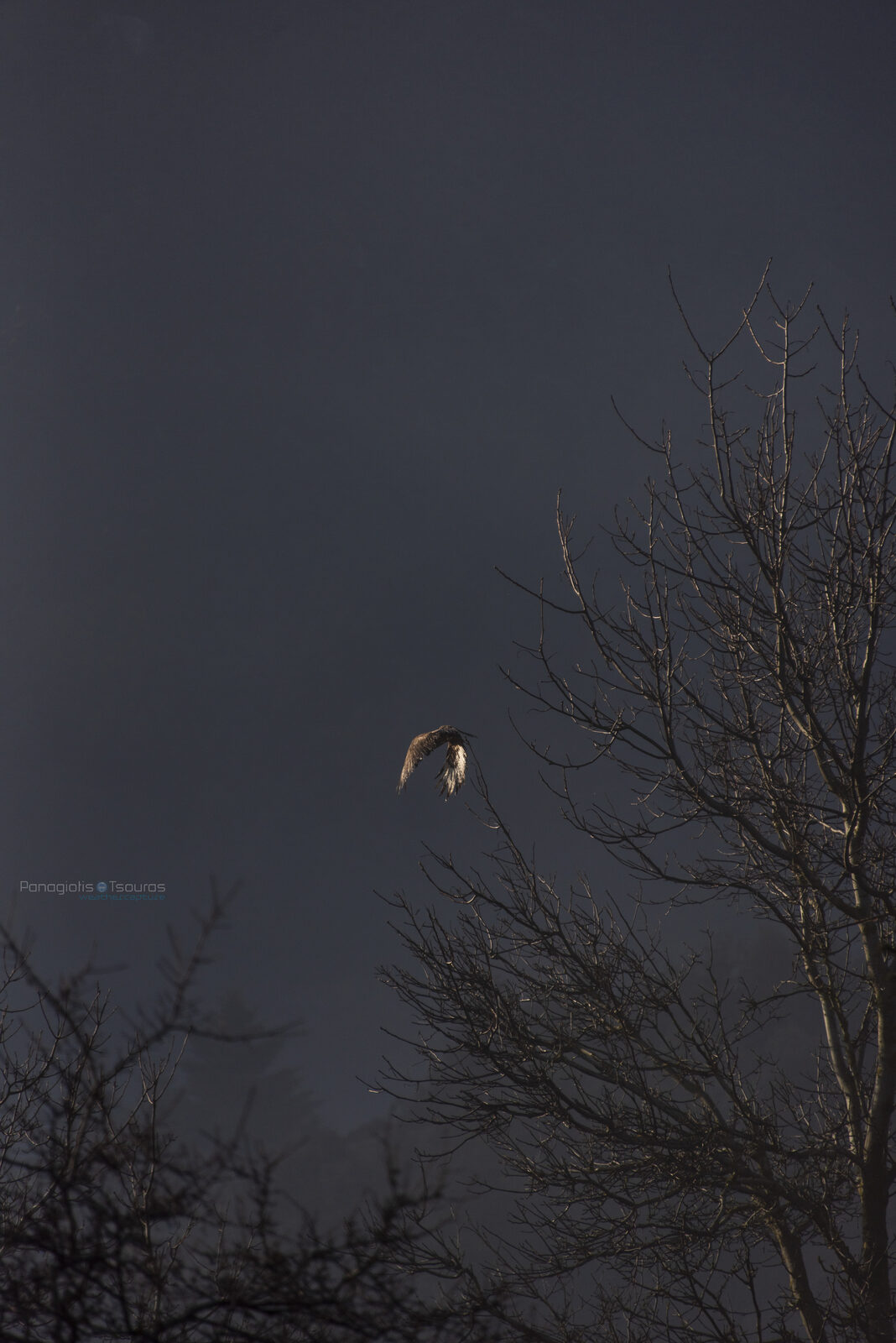 Elikonas 07/04/2019