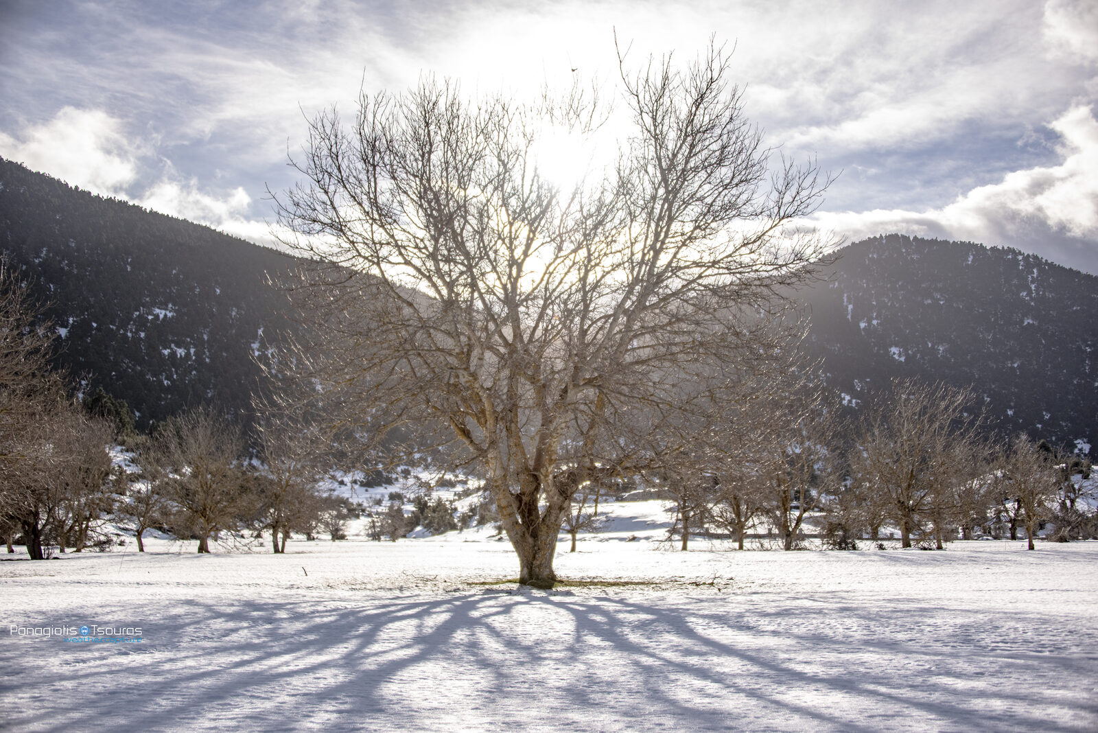 Elikonas 20/01/2019