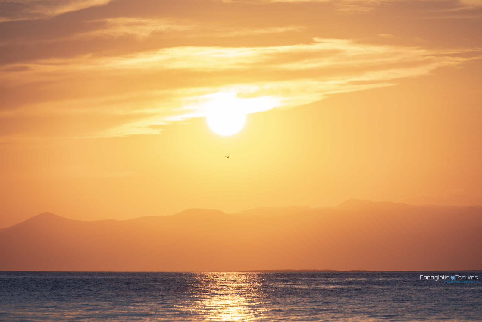 Arkitsa 29/06/2019