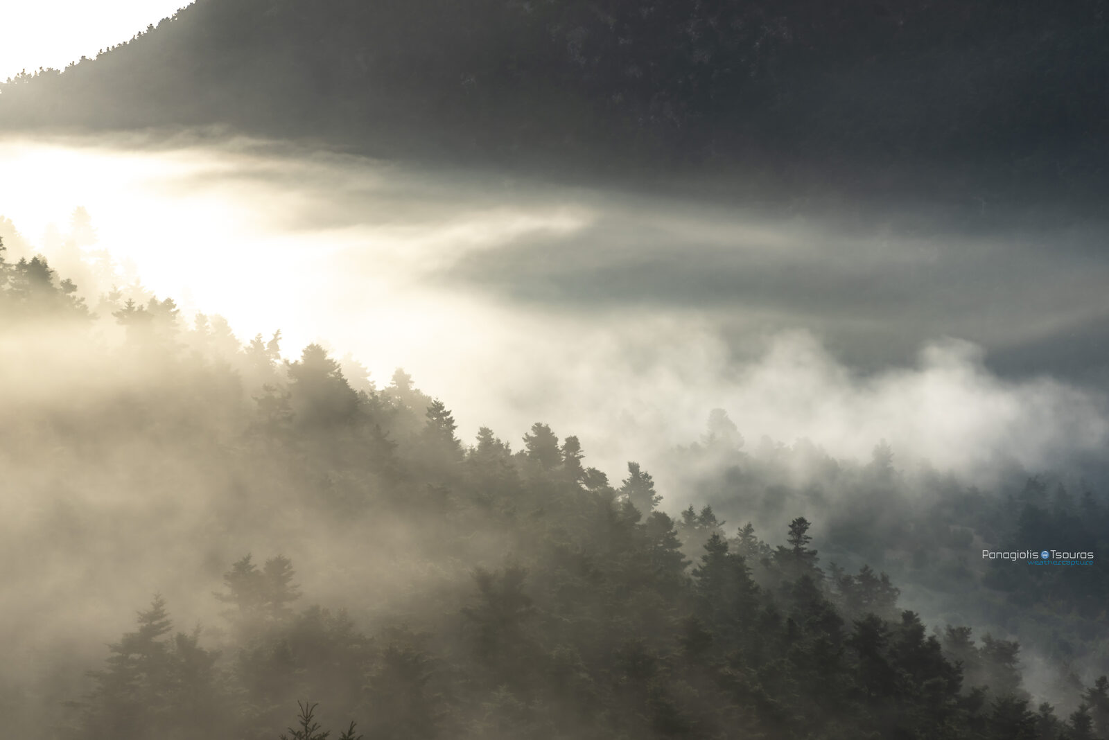 Zeriki 09/04/2019