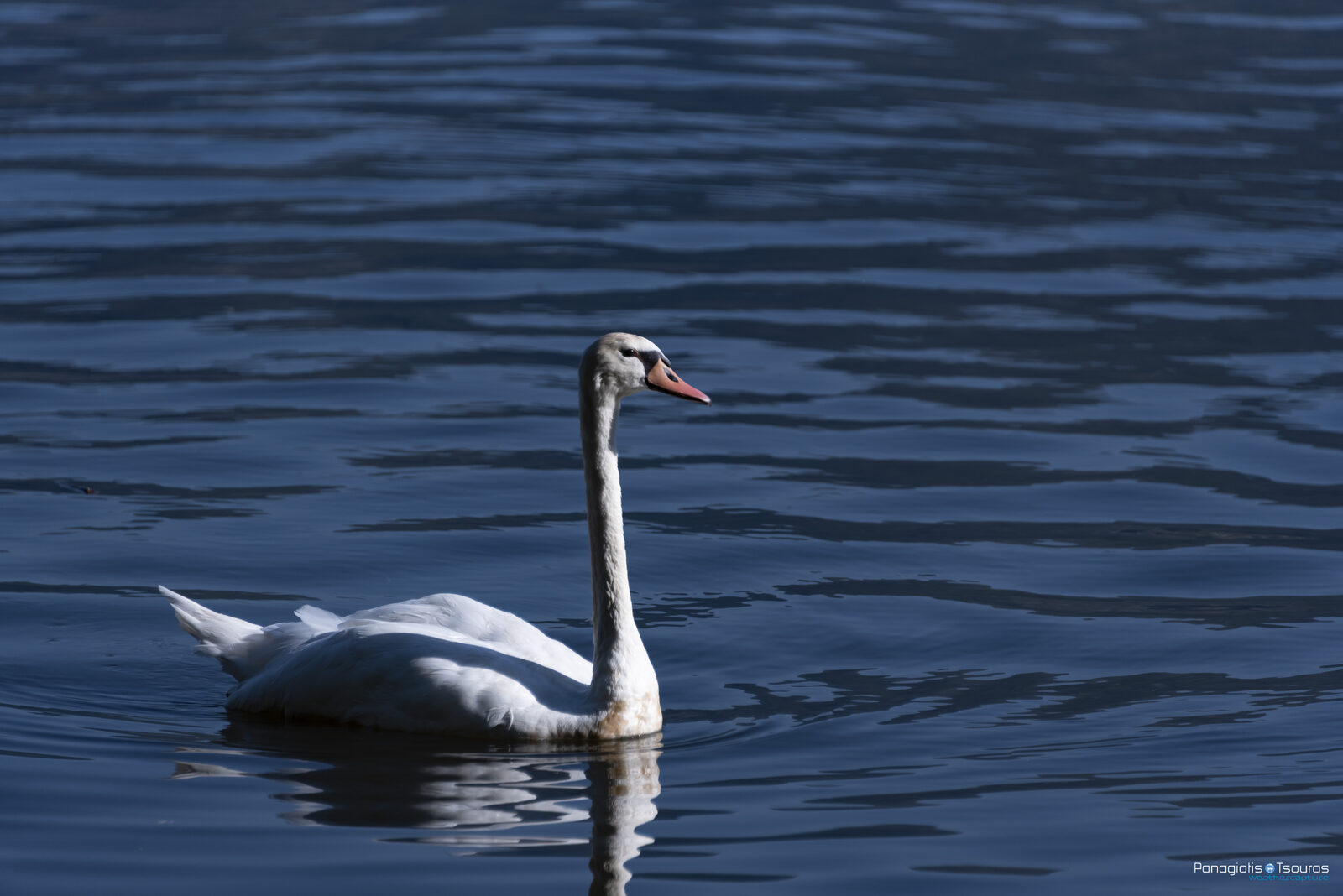Ioannina 27/07/2020
