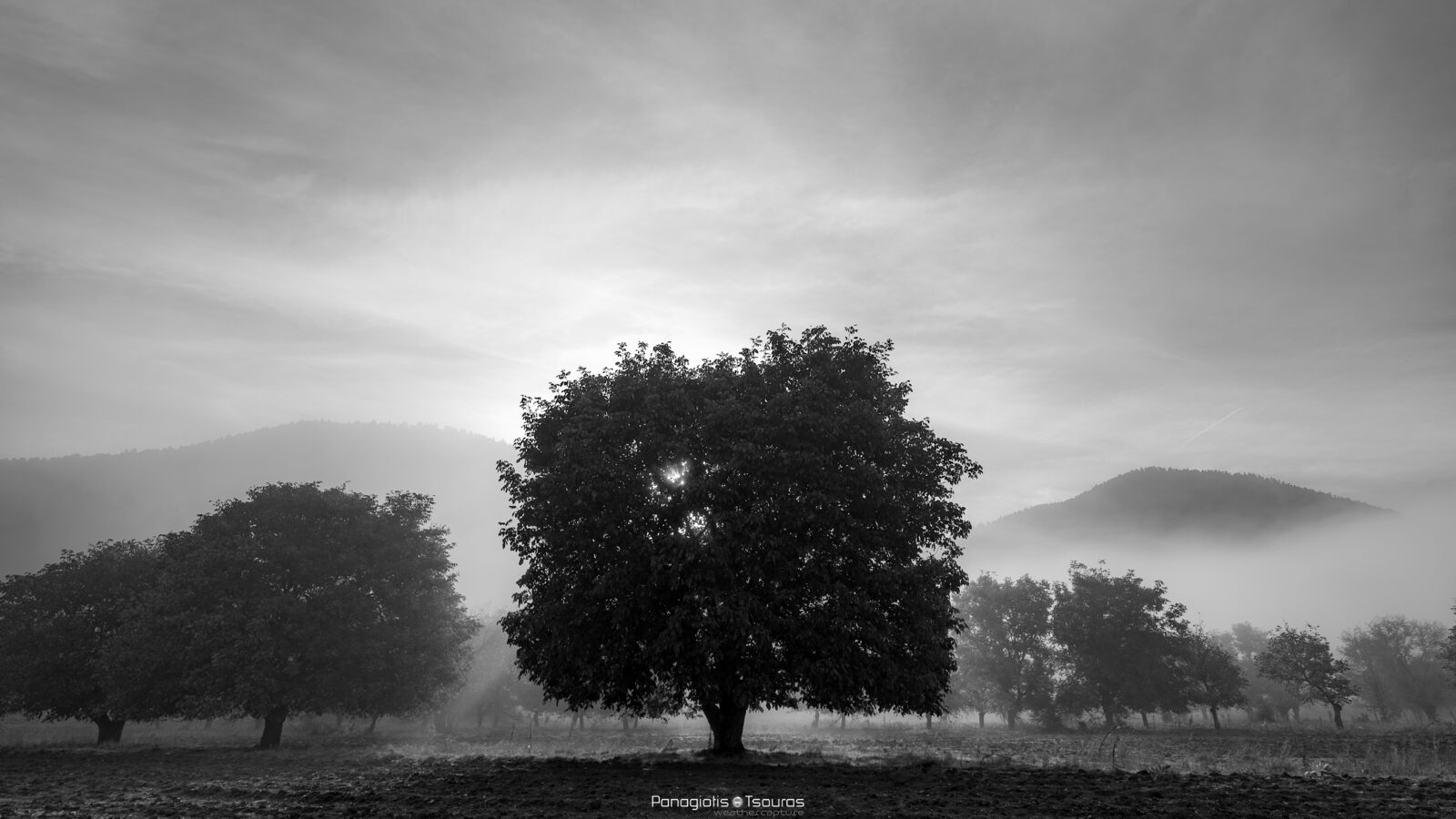 Zeriki 30/10/2020