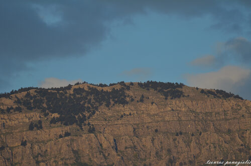 Mt.Elikonas