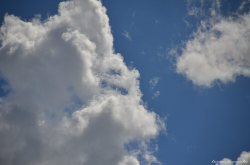 Into the clouds