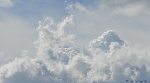 Into the clouds