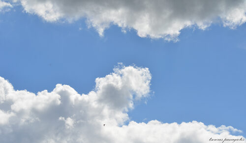 Into the clouds