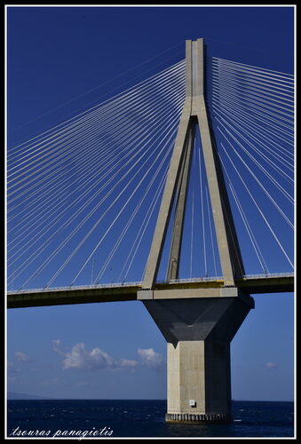 Rio-Bridge 17/08/2015