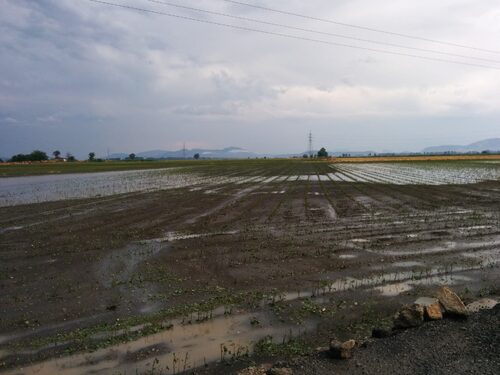 Kopaida 15/06/2014