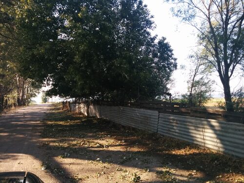 Kopaida 16/06/2014