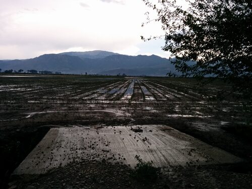Kopaida 15/06/2014