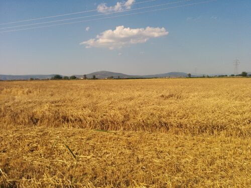 Kopaida 16/06/2014