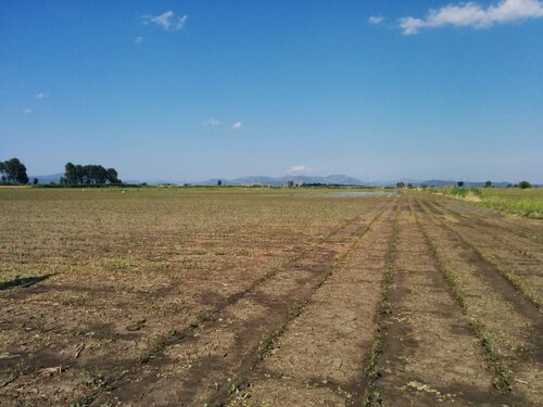 Kopaida 16/06/2014