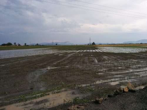Kopaida 15/06/2014
