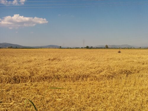 Kopaida 16/06/2014