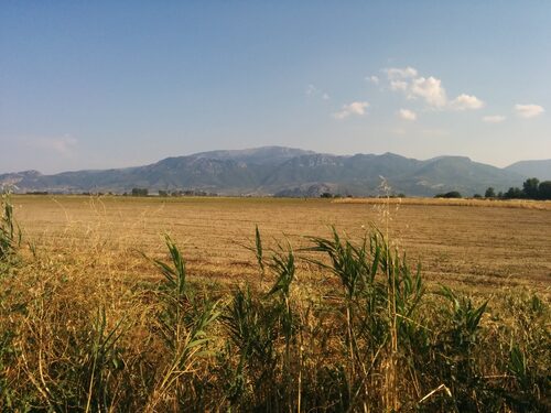 Kopaida 16/06/2014