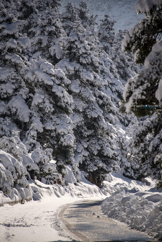 Elikonas 13/01/2019