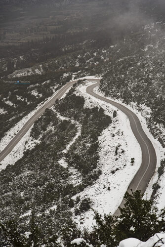 Elikonas 01/01/2019