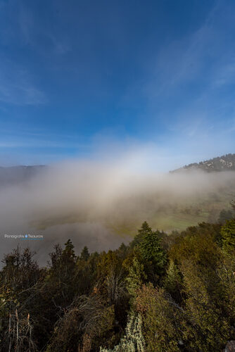 Elikonas 21/04/2019