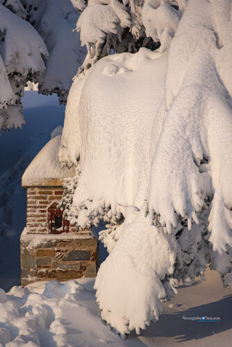 Elikonas 02/01/2019