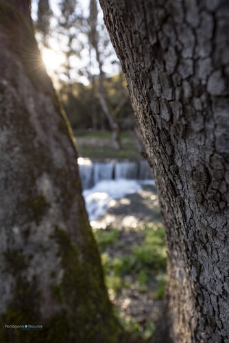 Pontza 17/03/2019