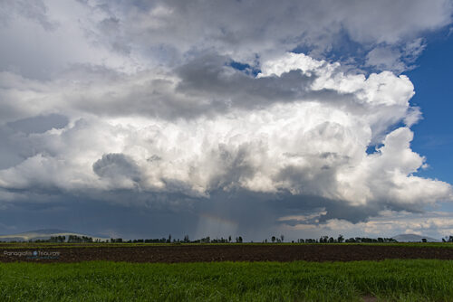 Kopaida 14/04/2019