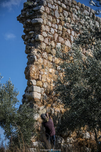 Pyrgos 03/12/2017