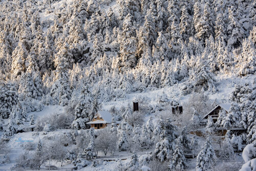 Elikonas 02/01/2019
