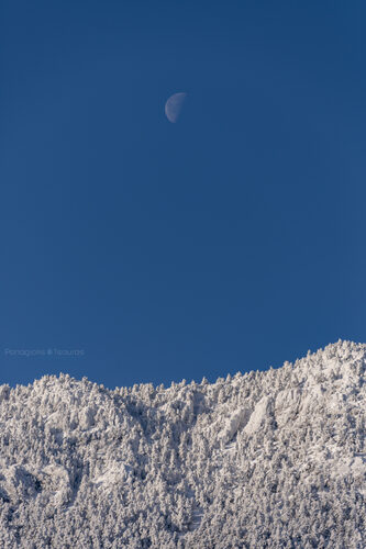 Analipsi 26/02/2019