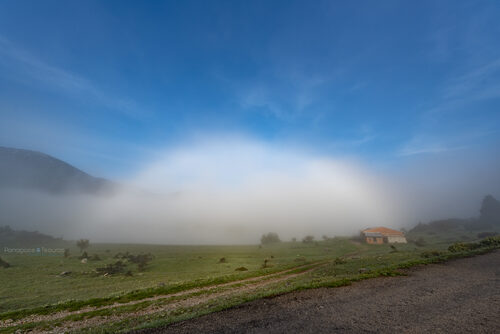 Elikonas 21/04/2019