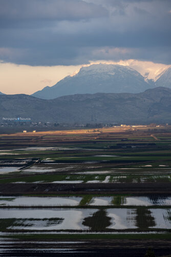 Kopaida 17/02/2019
