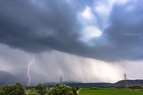 Chaeronia 11/06/2019