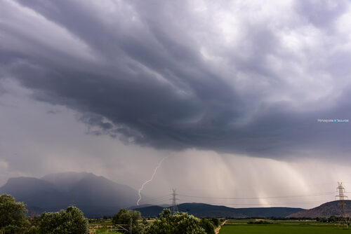 Chaeronia 11/06/2019