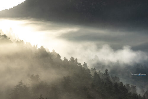 Zeriki 09/04/2019