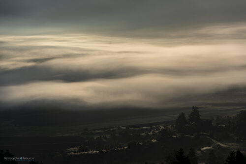 Zeriki 19/11/2019