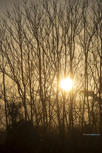 Levadia 16/12/2019